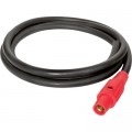 CEP Power Cord with Cam Lock - 200 Amps, 10Ft.L, Red, Model# 6121PR